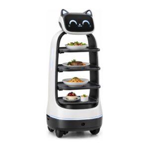 Pudu Robotics BellaBot