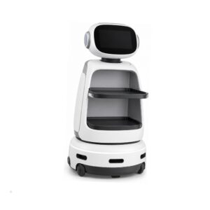 Hyundai DAL-e Service Robot
