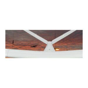 Delair DT26E Long-range Survey